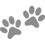paw2